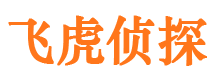 汉源外遇调查取证